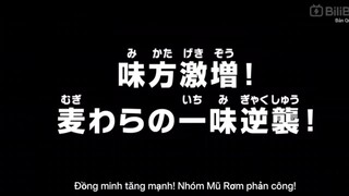 Tama và các đồng minh hỗ trợ băng Mũ Rơm