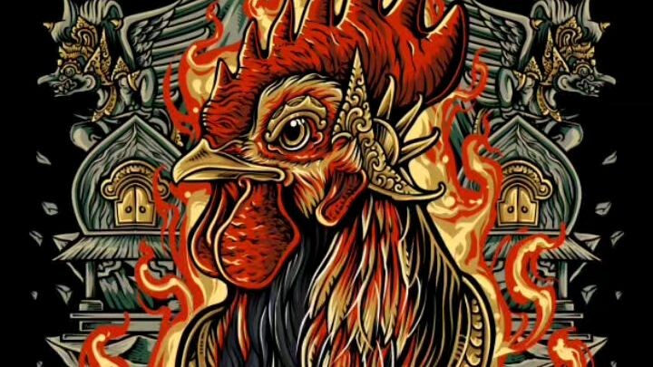 Rooster Farm🔥