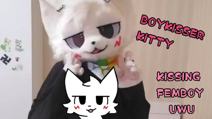 Sillycat sẽ thống trị thế giới UWU 【Ngôi sao Furui đã hết thời】