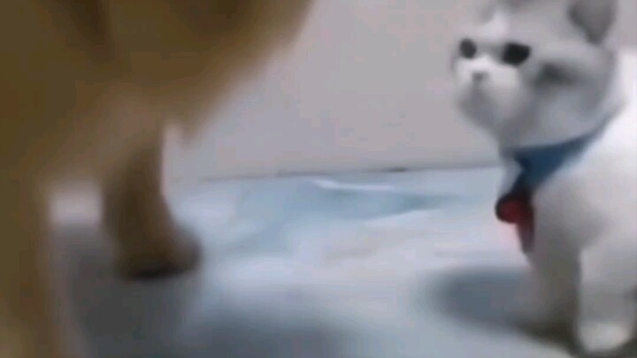 Saat kamu cukup lemah, seranganmu terlihat begitu menggemaskan!