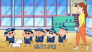 “小白不是宠物是我的家人”这句话真的很戳人泪点。