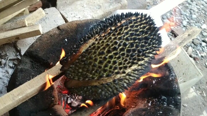 Jangan Coba Bakar DURIAN..!! Begini Jadinya..??