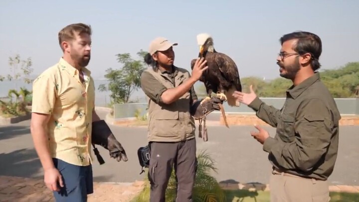 Vantara's bird sanctuary, the largest and best in the entire world!