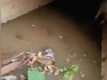 Có tình mẹ nhưng không nhiều, toàn nhờ khuyên nhủ.