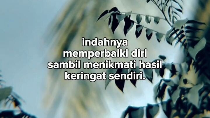 Story WhatsApp