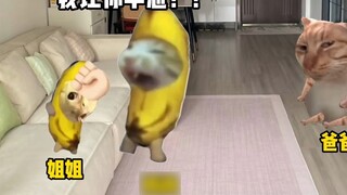 น้องสาว: ฉันไม่อยากให้คุณไม่มีลูกหลาน!