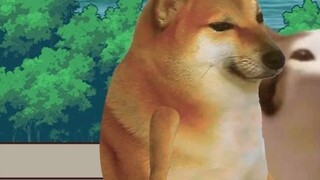 A dog, a home, someone who will never be separated
