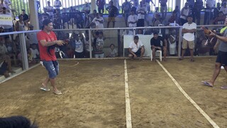 Leiper hatch (4x winner)