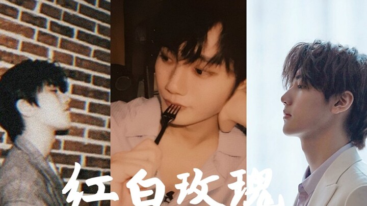 【Đại tam giác Thái Từ Khôn & Lưu Dã & Yên Hủ Gia】Cú ghép đôi kinh điển, hồng bạch song huyễn