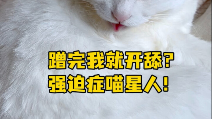 Humans just brush against you and suddenly you’re a clean-freak cat! Doudou says: “It’s one thing fo