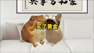 I spent 500,000 buying gold