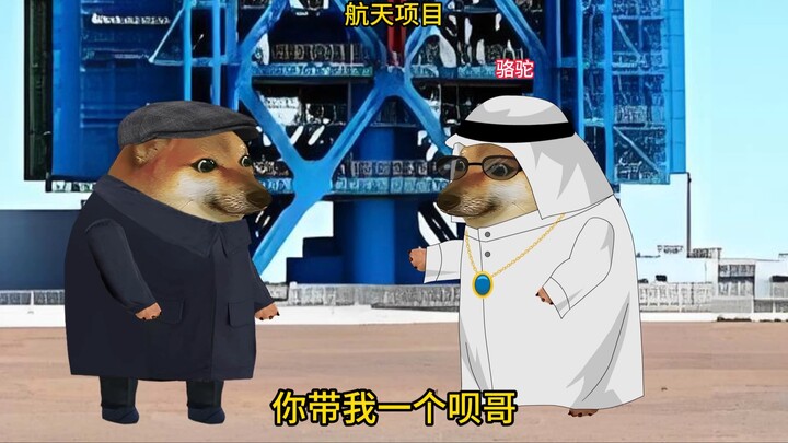 骆驼的航天项目
