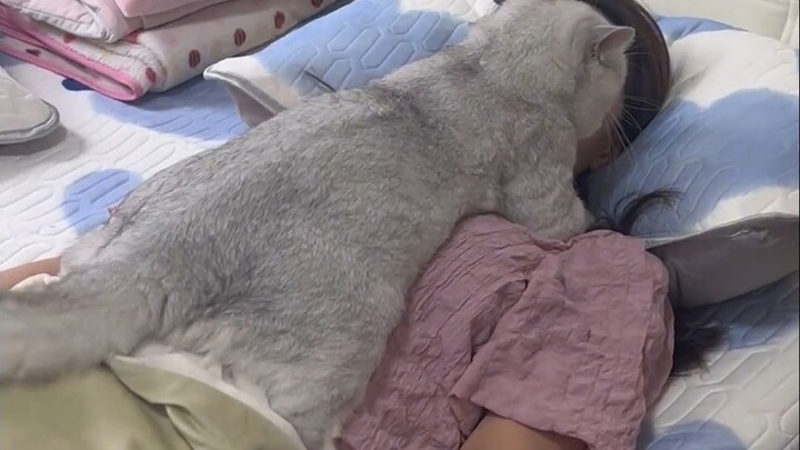 Kucing: Saya ketergantungan manusia, cepat biarkan saya menghirup dua kali!!!