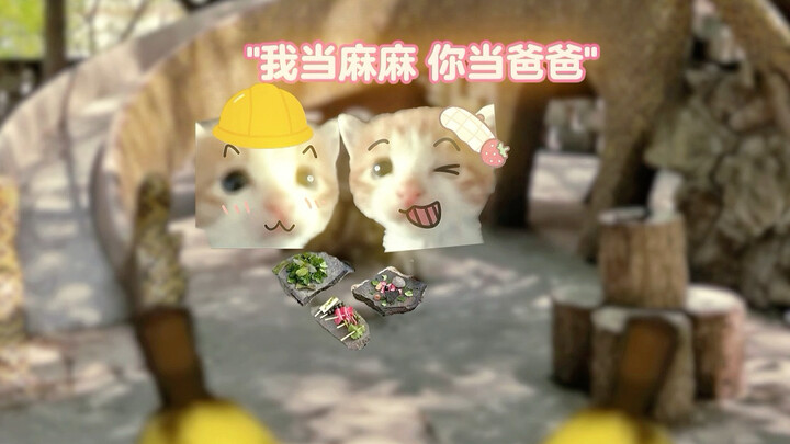 Khi con hỏi bố/mẹ đã quen mẹ/bố như thế nào