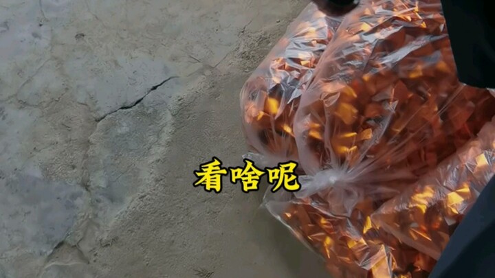 Cuộc sống thường ngày trẻ con ở đạo quán