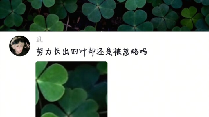 ผู้เชี่ยวชาญมักหาได้ยาก
