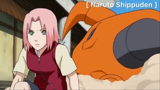 Naruto Shippuden : ความลับของแท่งเหล็กของเพน