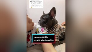 Trả lời   fyp tutorials dogtiktok frenchie bullphap yeuchomeo