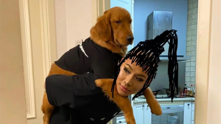 Pemilik anjing wajib tonton: Golden Retriever mati saat diangkut — bersuara untuk Siri si Golden Ret