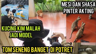 Masya Allah Kucing -Kucing Disabilitas Cats Lovers Tv Di Foto Oleh Fotografer