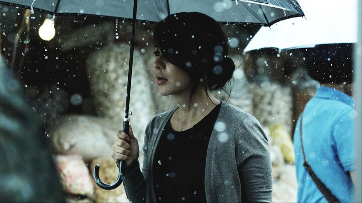 Montage สืบล่าฆ่าซ้อนแผน 2013