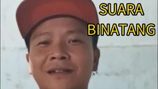 NIRU SUARA BINATANG