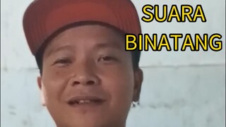 NIRU SUARA BINATANG