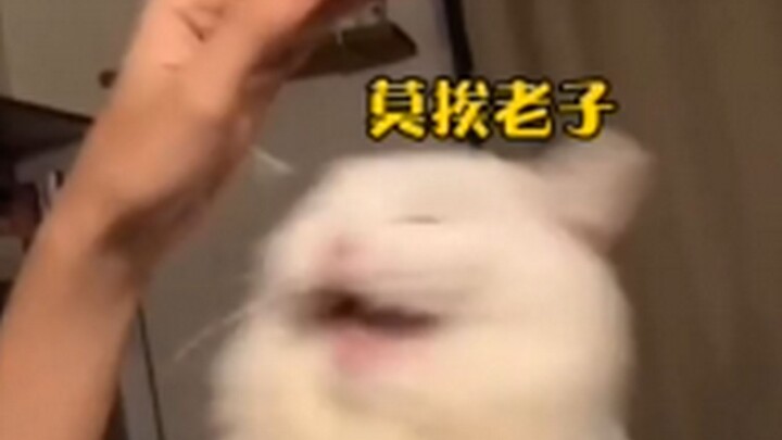 “Kendali inisiatif hanya bisa ada di tanganku”