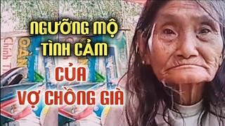 NGƯỠNG MỘ VỢ CHỒNG BÀ ĐẶNG QUÁ.