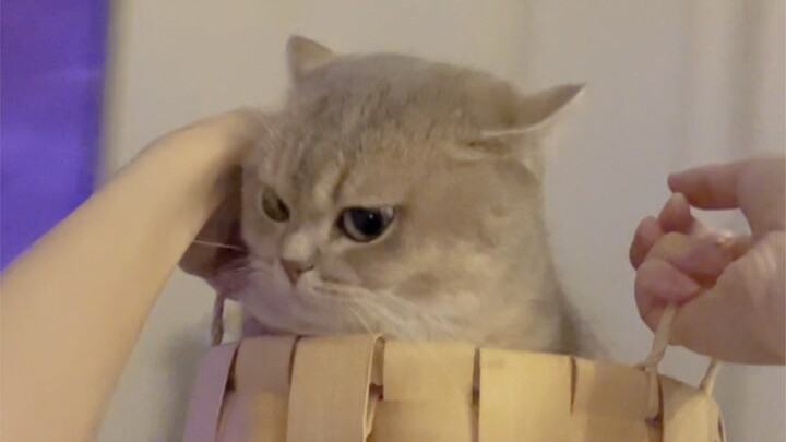 Jangan berani pamer, dia tidak bahagia