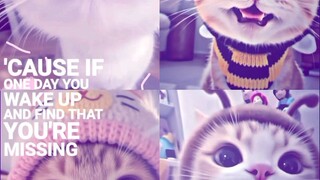 cute cat 😺😺😺