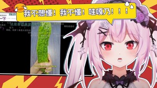我不懂！我也不想懂！哇嘎乃！！！🤯日本妹妹看《果蔬测评》【真红莉爱Official﻿】