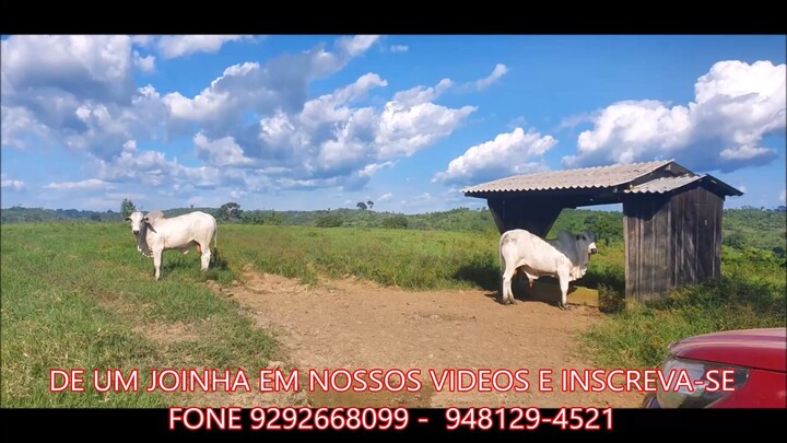 FAZENDA COM 480 ALQUEIRÃOA VENDA cmc
