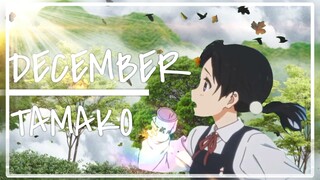 AMV | DECEMBER | TAMAKO LOVE STORY