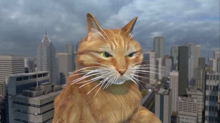 My original animation has to believe that the light cat Teman will eventually appear and the orange 
