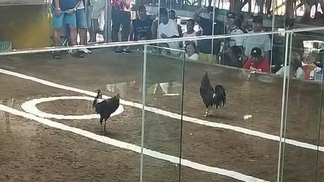 Bonecrusher/jbk - Win 2x Winner na