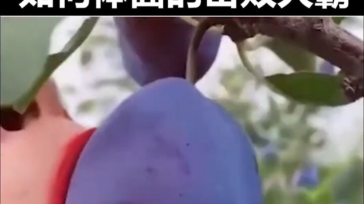 Làm thế nào để một phàm nhân đánh bại Thanos?