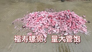 这个广西精神小伙，越来越离谱！