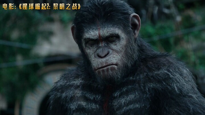“Rise of the Planet of the Apes 2: Dawn of the Planet of the Apes”: Can intelligent apes and humans 