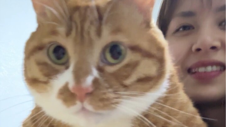 蛋卷的大鸡腿子我也想啃