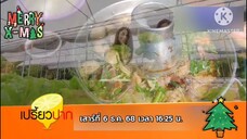 เปรี้ยวปาก พาไปปั่นจักรยานและชิมเมนูอร่อยๆ ที่ บางกะเจ้า วันเสาร์ที่ 6 ธ.ค. เวลา 16.25 น.