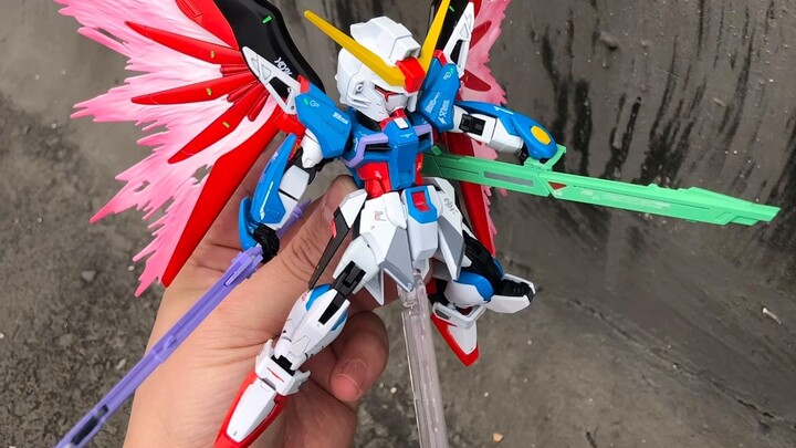 Bandai MGSD Destiny Gundam, lem pertama di Tahun Kelinci, bebas bertarung dengan mgsd Bandai, kesini