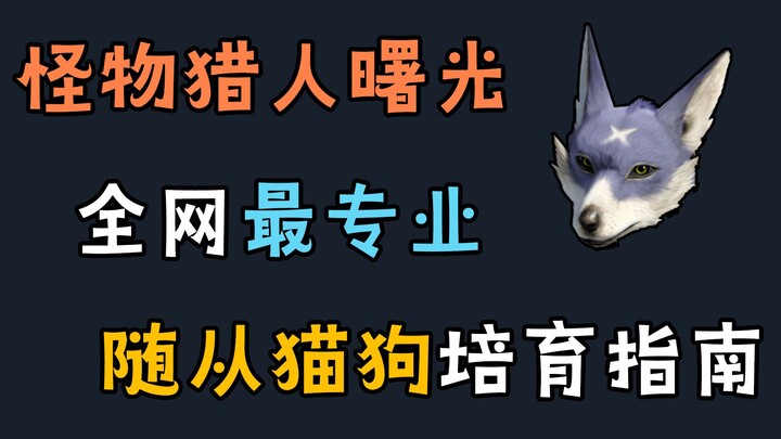 【MHRS】Hướng dẫn nuôi thú cưng mèo chó chuyên nghiệp nhất trong Dawn, không có đối thủ!