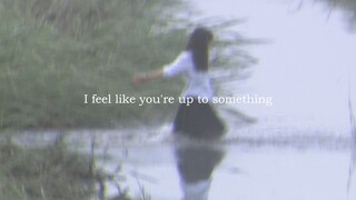 Film Aesthetics | Everything About Lili Zhou