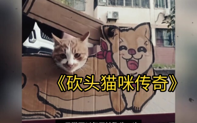 Dokumenter besar "Kucing Dipenggal"