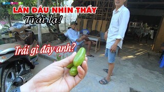 Lần đầu nhìn thấy Trái Lạ chua léc của miền Tây, chạy hỏi khắp xóm 😂