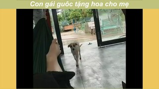 Con gái guột của mẹ #haihuoc #funny
