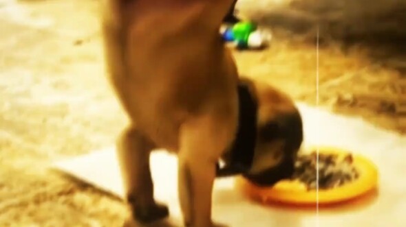 “Lepas Landas Itu Bohongmu”