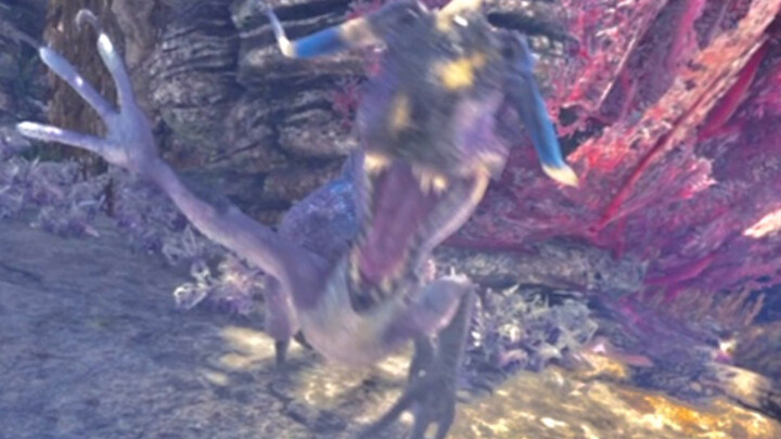 Cuộc săn chim lóa mắt đi vào sử sách của đoàn khảo sát