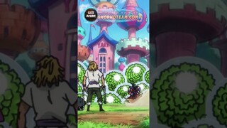 Joyboy là ai? người từng sở hữu trái cao su của luffy ? ( phần 2 )